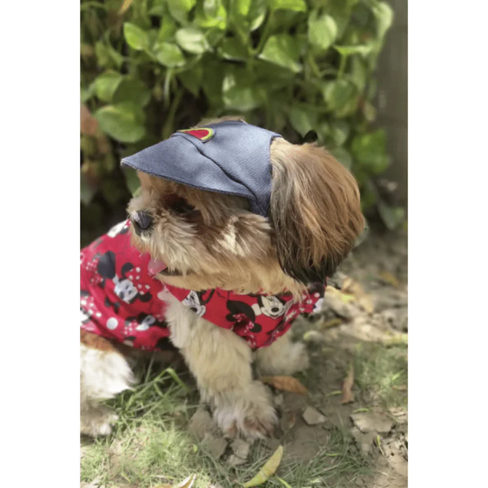 Pawgypets Cap for Dogs and Cats (Denim) - Image 5