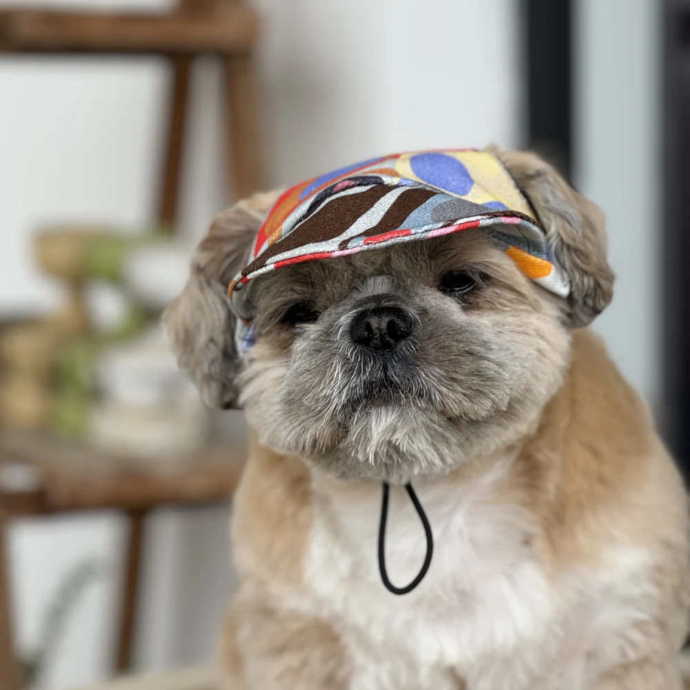 Pawgypets Cap for Dogs (Multi Color) - Image 2