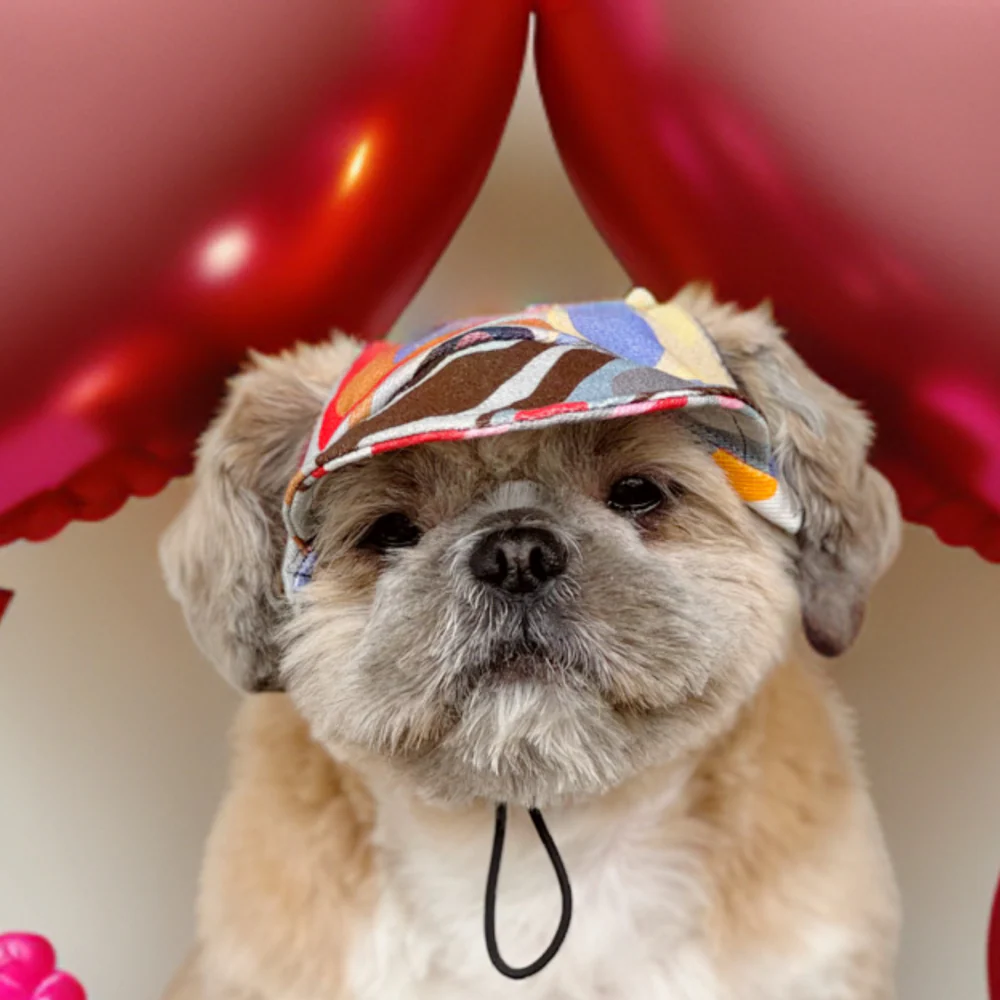 Pawgypets Cap for Dogs (Multi Color) - Image 4