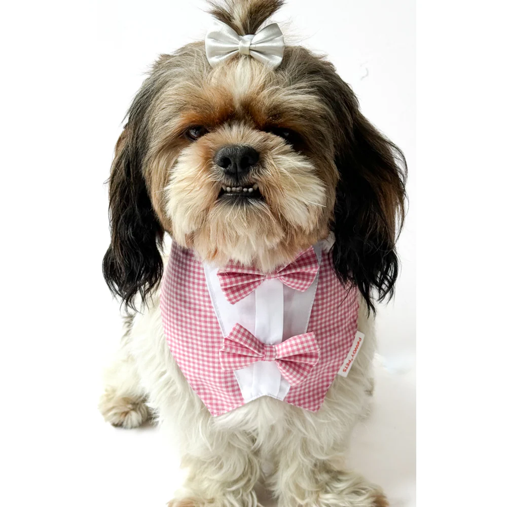 Pawgypets Casual Check Bandana for Dogs and Cats (Pink) - Image 2