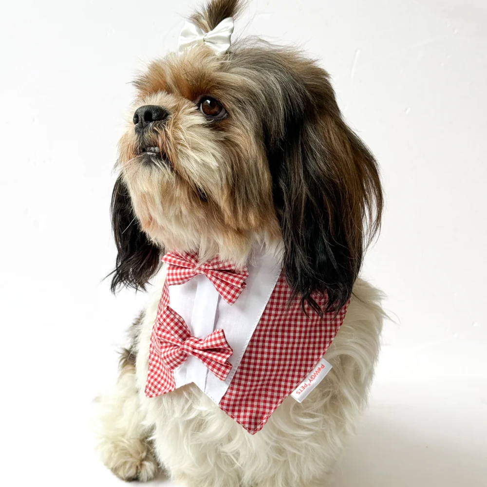 Pawgypets Casual Check Bandana for Dogs and Cats (Red) - Image 2