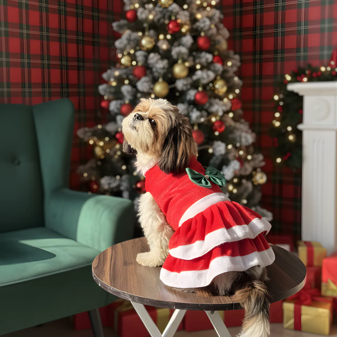 Pawgypets Christmas Dress for Dogs - Image 3