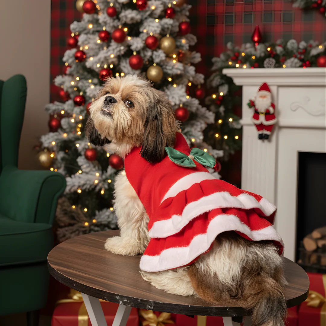 Pawgypets Christmas Dress for Dogs - Image 5