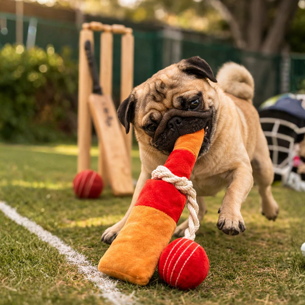 Pawgypets Cricket Fever Doggo Plush with Rope Toy for Dogs (Brown and Red) - Image 3