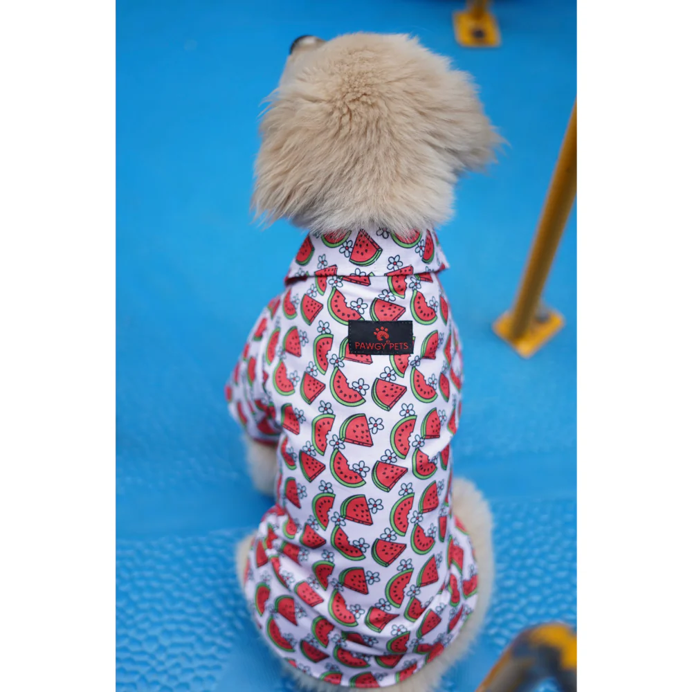 Pawgypets Daisy Melon Shirt for Dogs and Cats (Pink) - Image 3