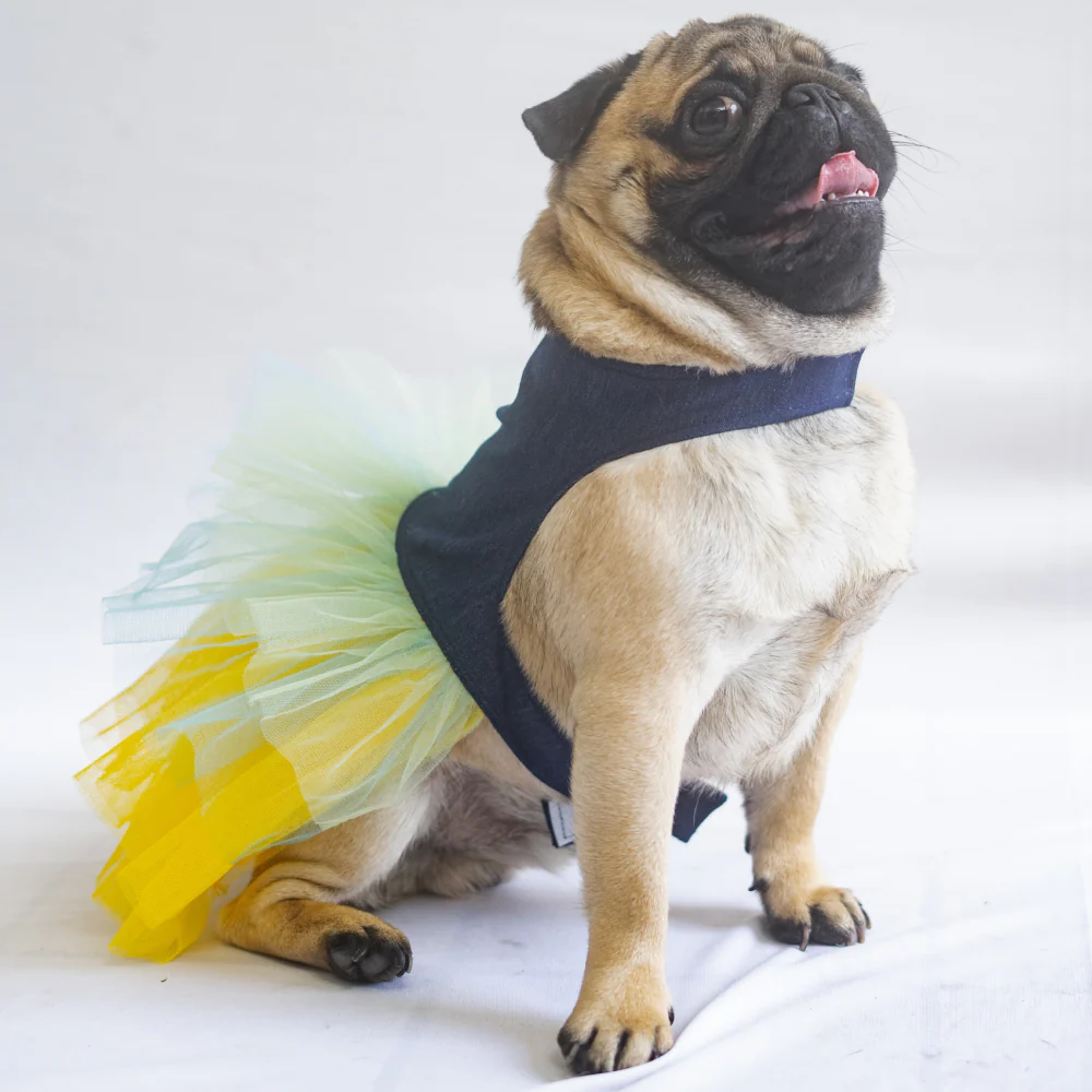 Pawgypets Denim Frilly Dress for Dogs and Cats (Blue/Yellow) - Image 2