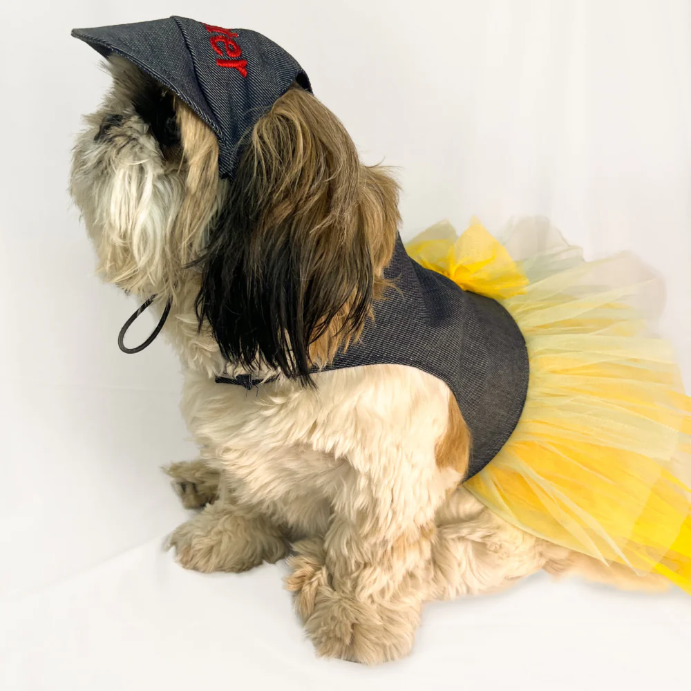 Pawgypets Denim Frilly Dress for Dogs and Cats (Blue/Yellow) - Image 4