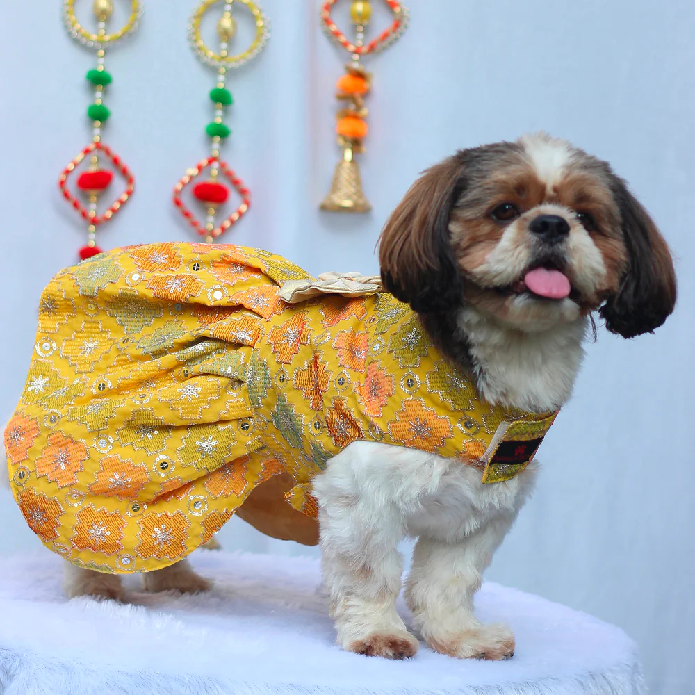 Pawgypets Festive Patola Dress for Dogs (Yellow) - Image 4