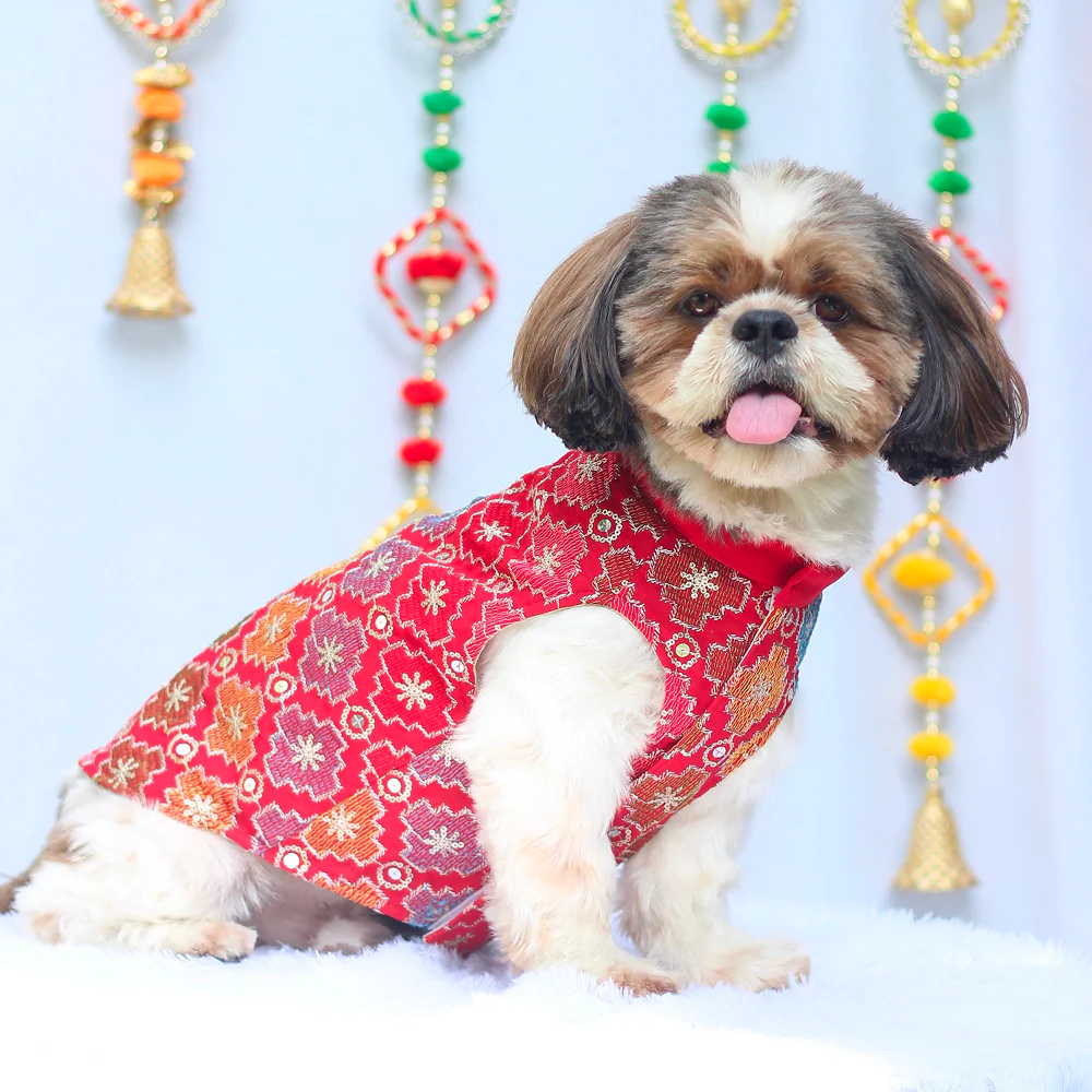 Pawgypets Festive Patola Kurta for Dogs (Red) - Image 3