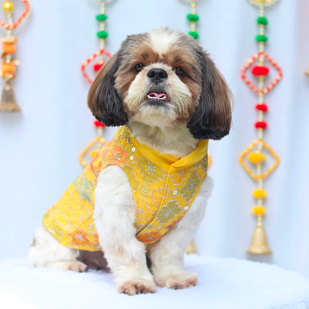 Pawgypets Festive Patola Kurta for Dogs (Yellow) - Image 3
