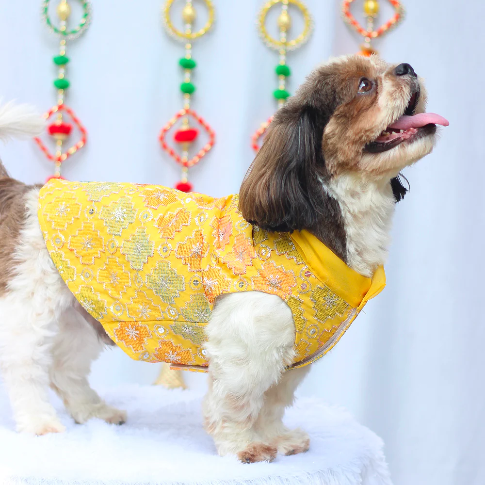Pawgypets Festive Patola Kurta for Dogs (Yellow) - Image 4