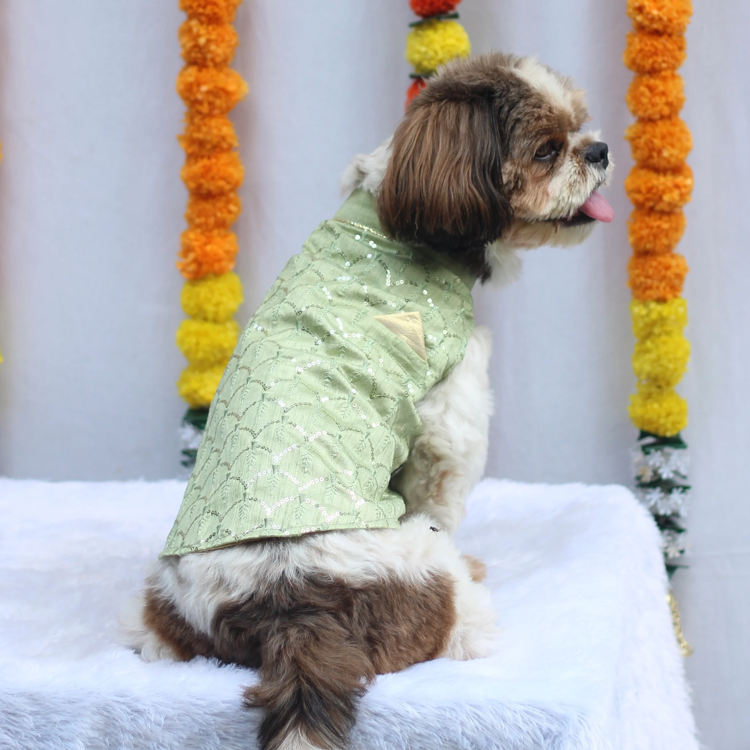 Pawgypets Festive Shahi Kurta for Dogs (Pastel Green) - Image 2