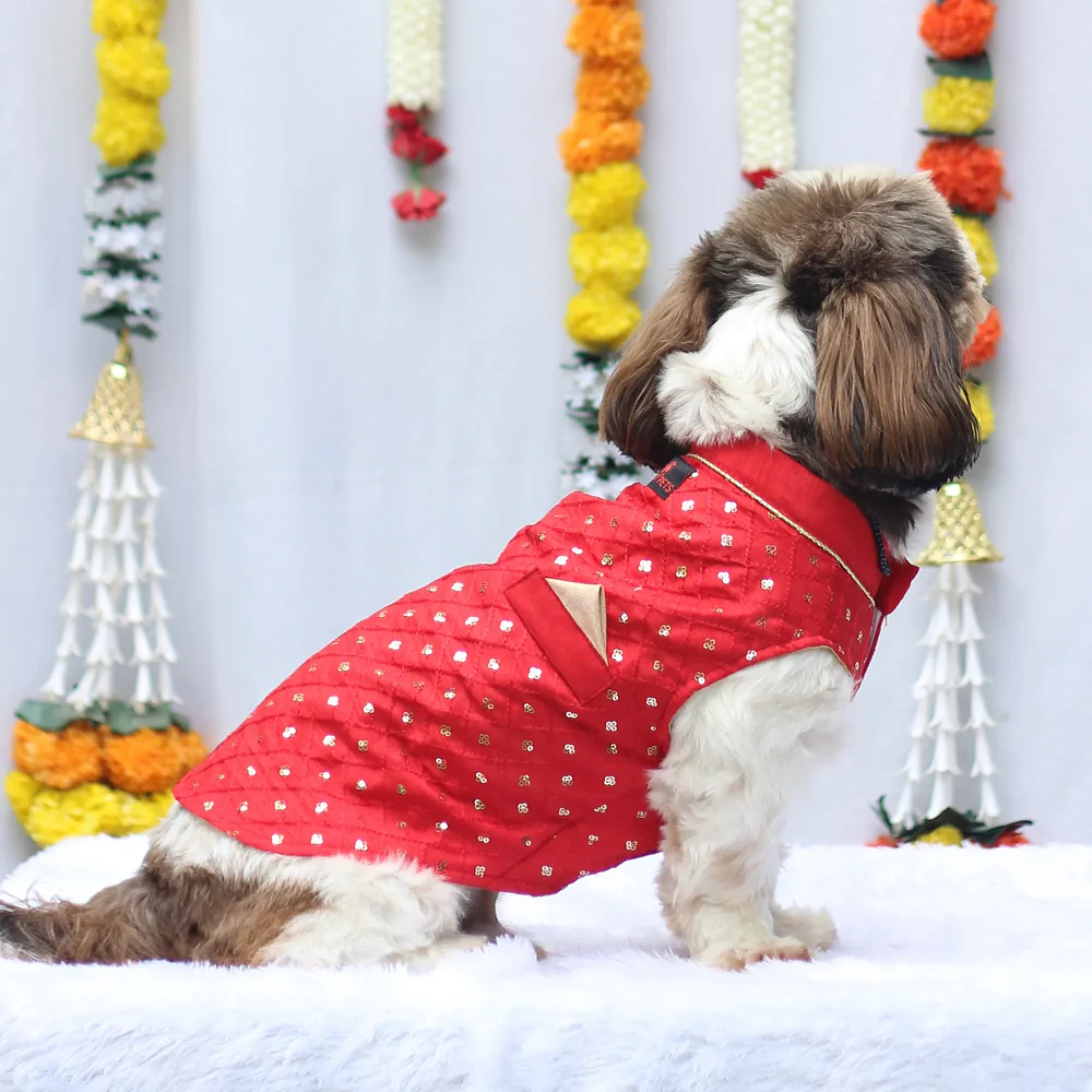 Pawgypets Festive Shahi Kurta for Dogs (Red) - Image 3