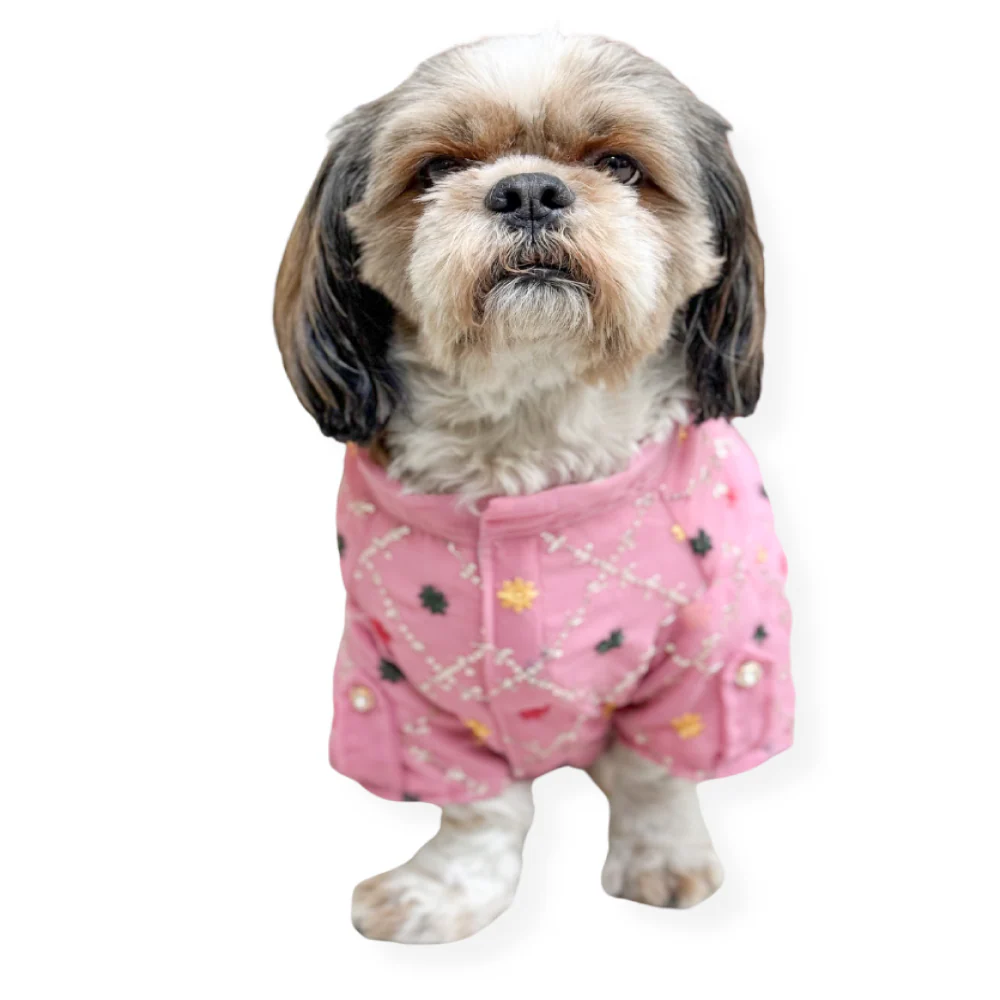 Pawgypets Festive Shirt for Dogs and Cats (Pink) - Image 2