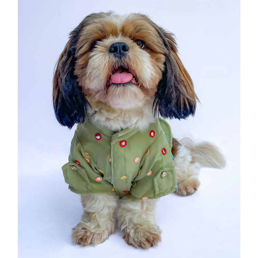 Pawgypets Festive Shirt for Dogs and Cats (Pista Green) - Image 3