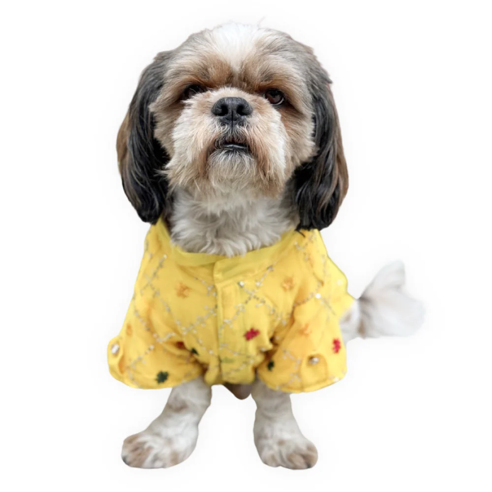Pawgypets Festive Shirt for Dogs and Cats (Yellow) - Image 3