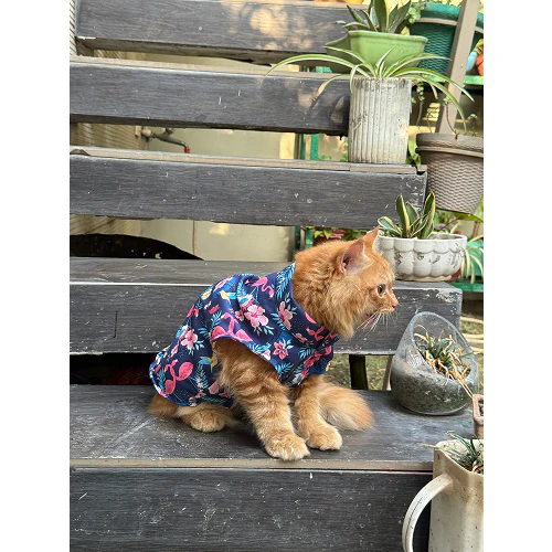 Pawgypets Flamingo Sando for Cats (Navy Blue) - Image 5