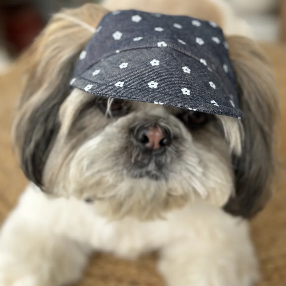 Pawgypets Floral Cap for Dogs (Denim) - Image 3