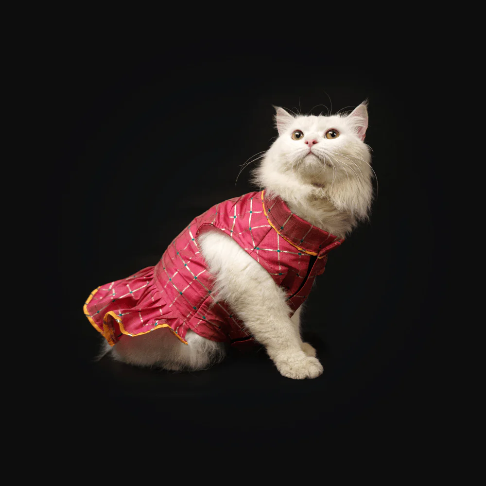 Pawgypets Formal Check Ruffle Dress for Dogs and Cats (Pink) - Image 3