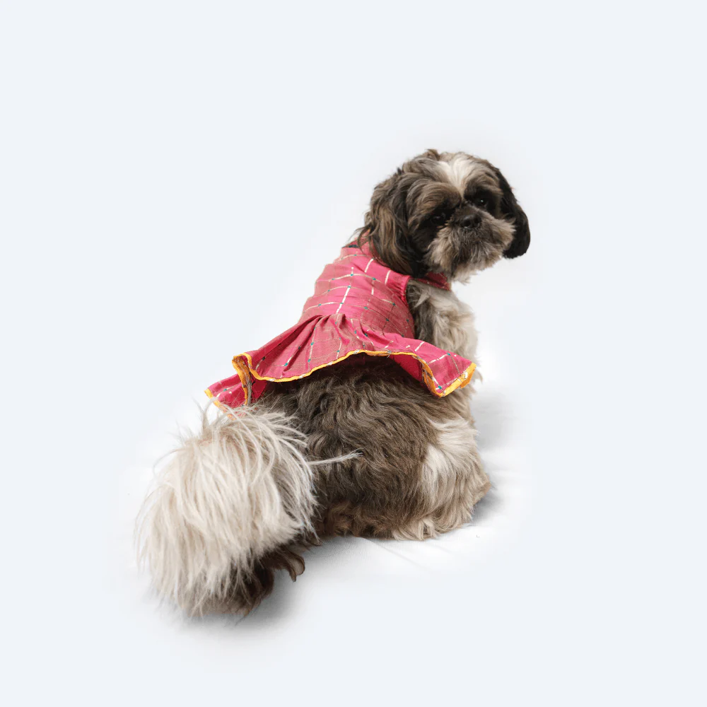 Pawgypets Formal Check Ruffle Dress for Dogs and Cats (Pink) - Image 5