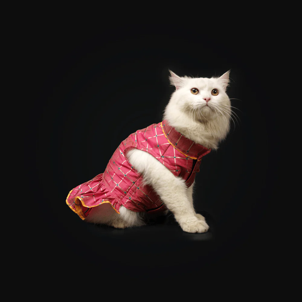 Pawgypets Formal Check Ruffle Dress for Dogs and Cats (Pink) - Image 6