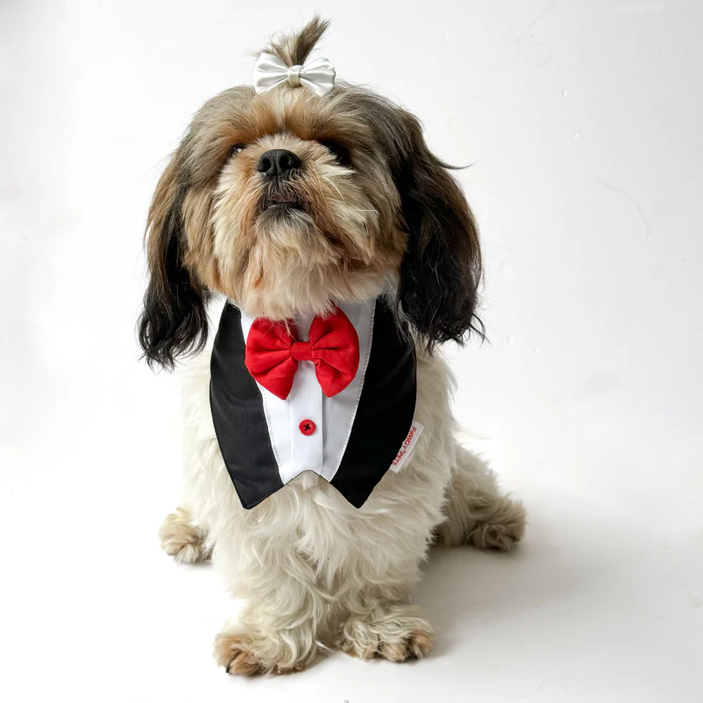 Pawgypets Formal Tux Bandana for Dogs and Cats (Black) - Image 2