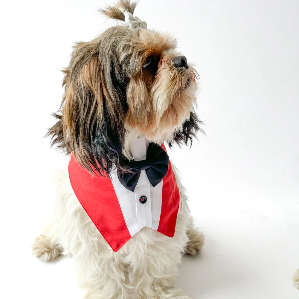 Pawgypets Formal Tux Bandana for Dogs and Cats (Red) - Image 2
