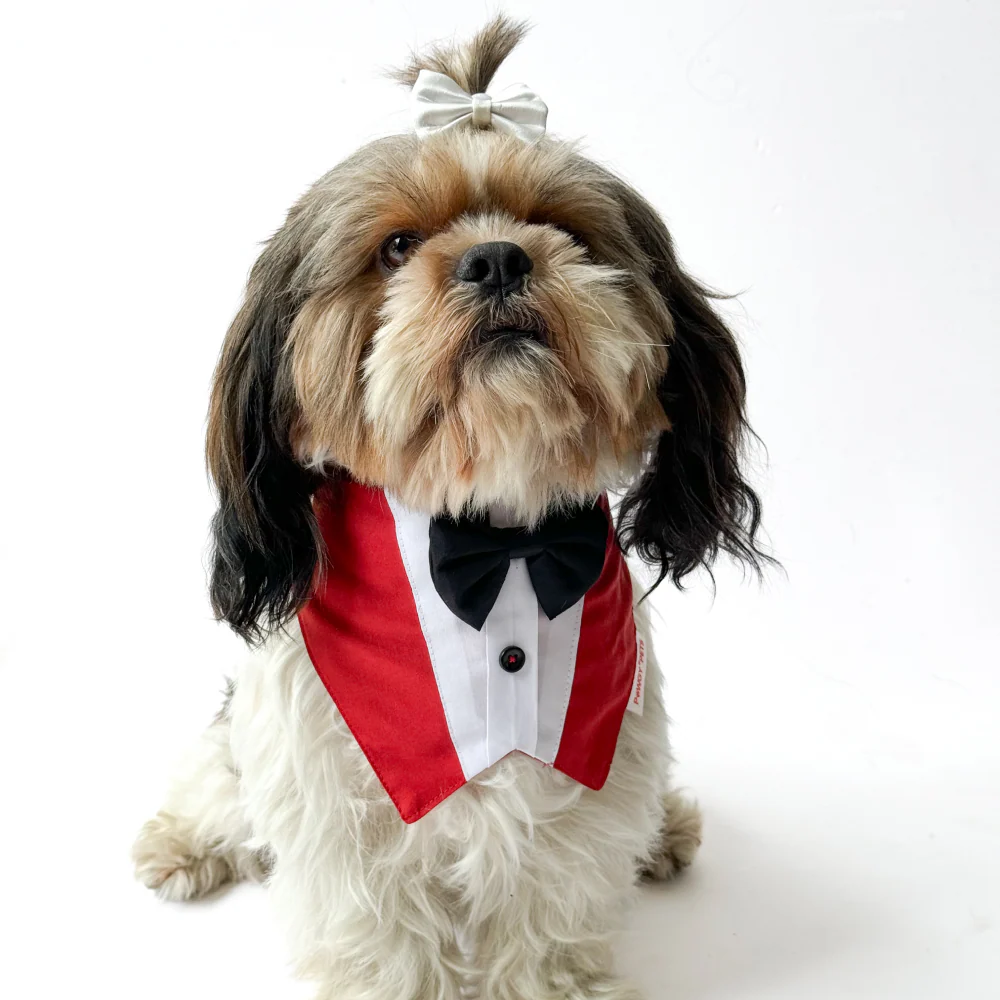 Pawgypets Formal Tux Bandana for Dogs and Cats (Red) - Image 3