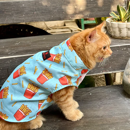 Pawgypets Fries Over Guys Sando for Cats (Blue) - Image 4