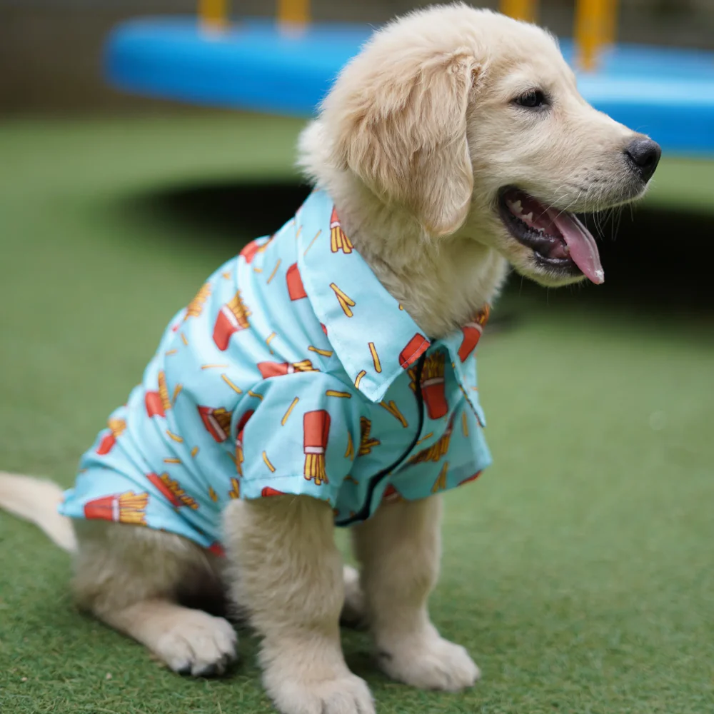 Pawgypets Fries Over Guys Shirt for Dogs (Blue) - Image 3