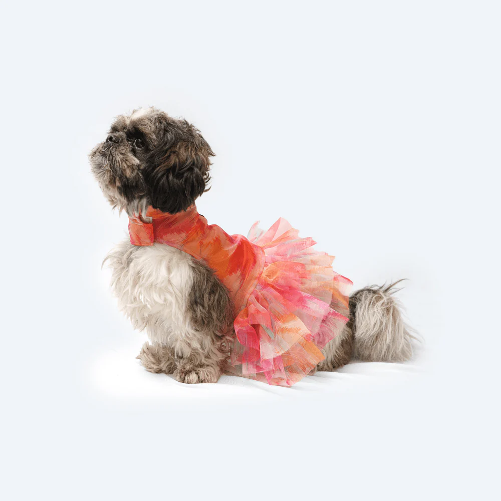 Pawgypets Frill Dress for Dogs and Cats (Orange) - Image 4