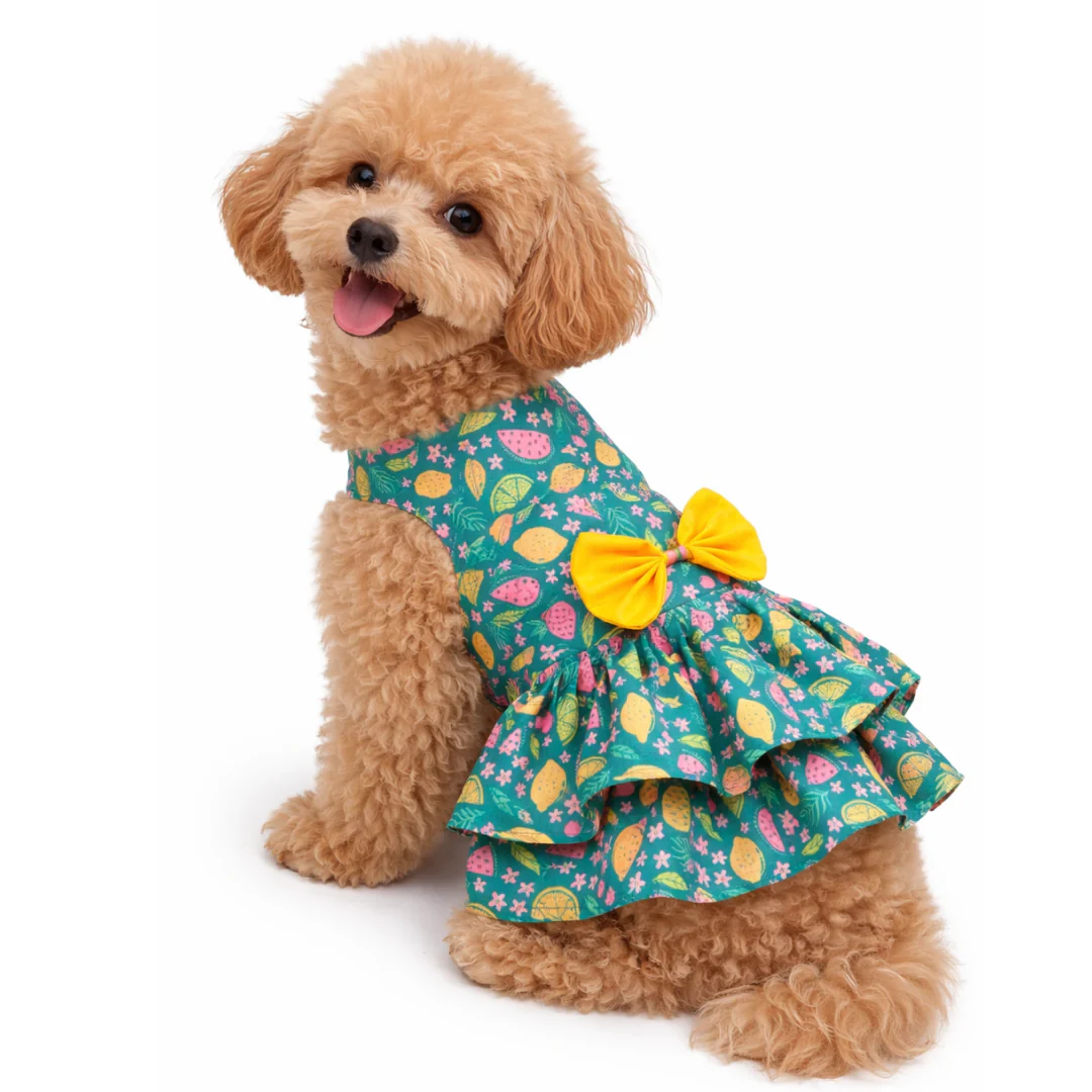 Pawgypets Fruity Casual Dress for Dogs (Green) - Image 3