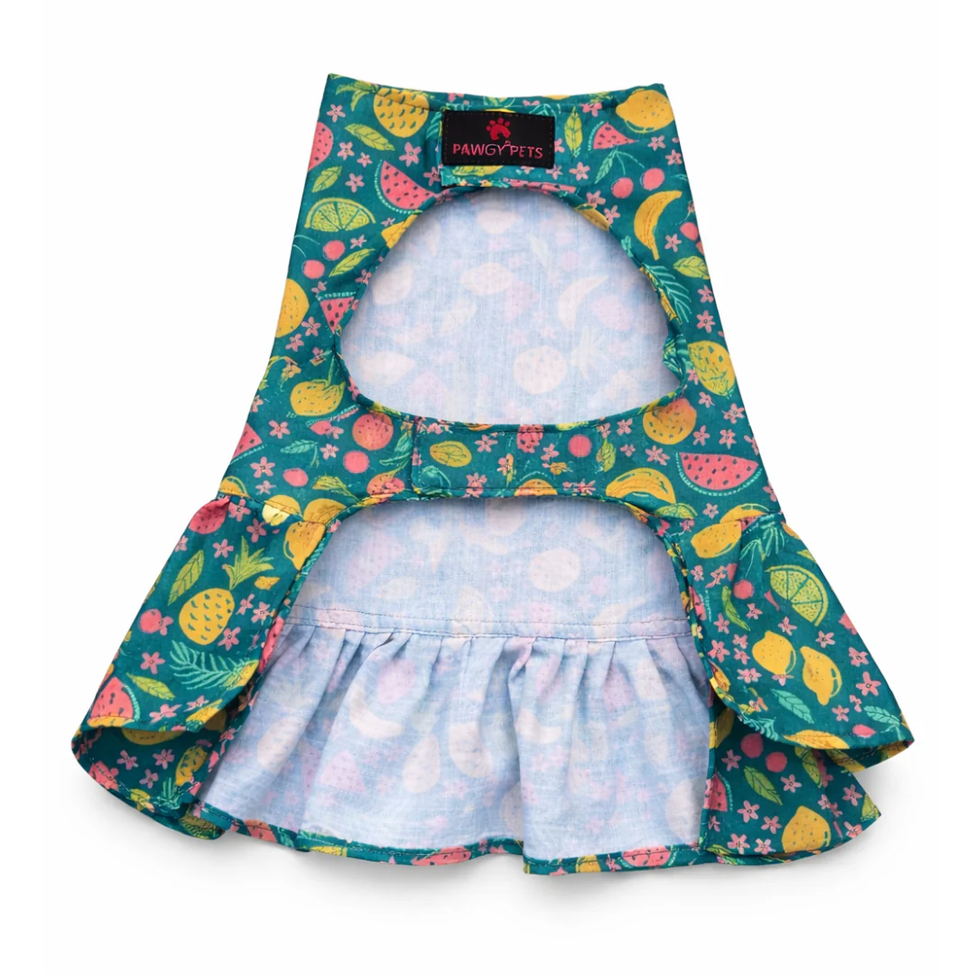 Pawgypets Fruity Casual Dress for Dogs (Green) - Image 4