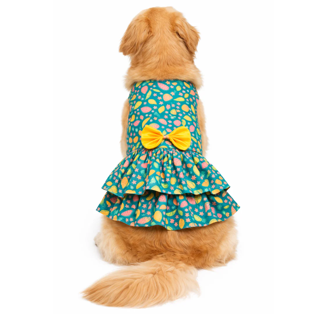 Pawgypets Fruity Casual Dress for Dogs (Green) - Image 6