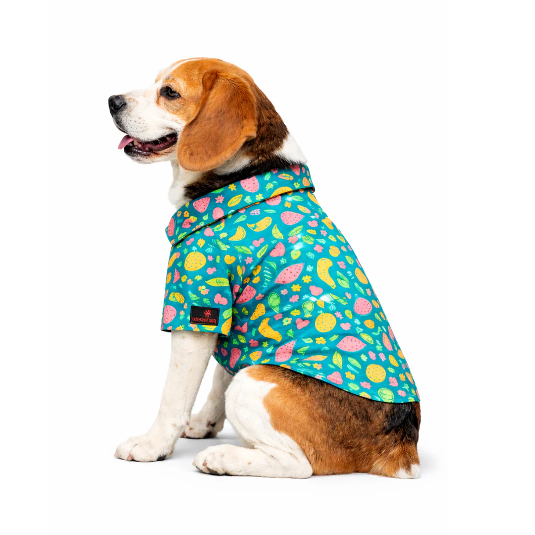 Pawgypets Fruity Casual Shirt for Dogs (Green) - Image 5
