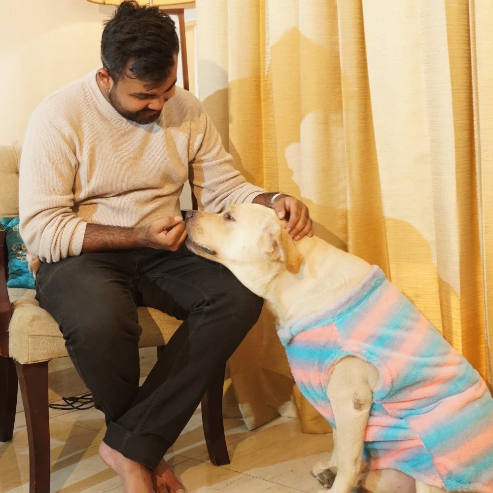 Pawgypets Fur Sleeveless Sweater for Dogs and Cats (Blue/Pink) - Image 6
