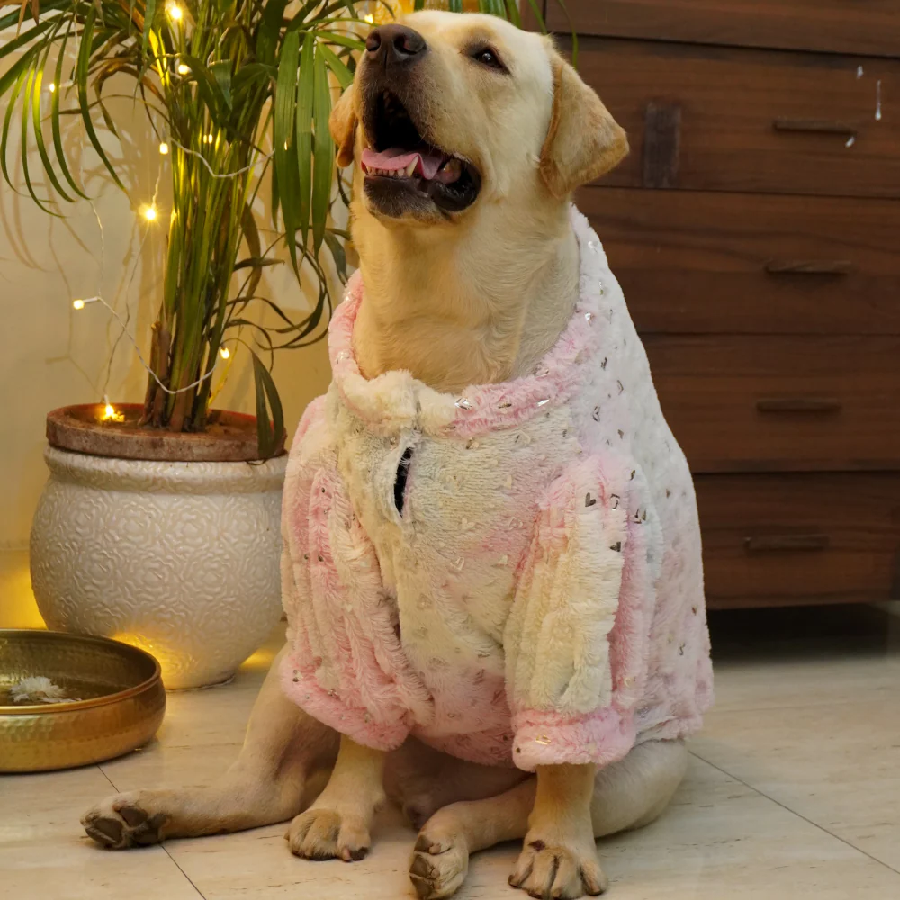 Pawgypets Fur Sweater for Dogs and Cats (Heart Pastel Rainbow) - Image 2