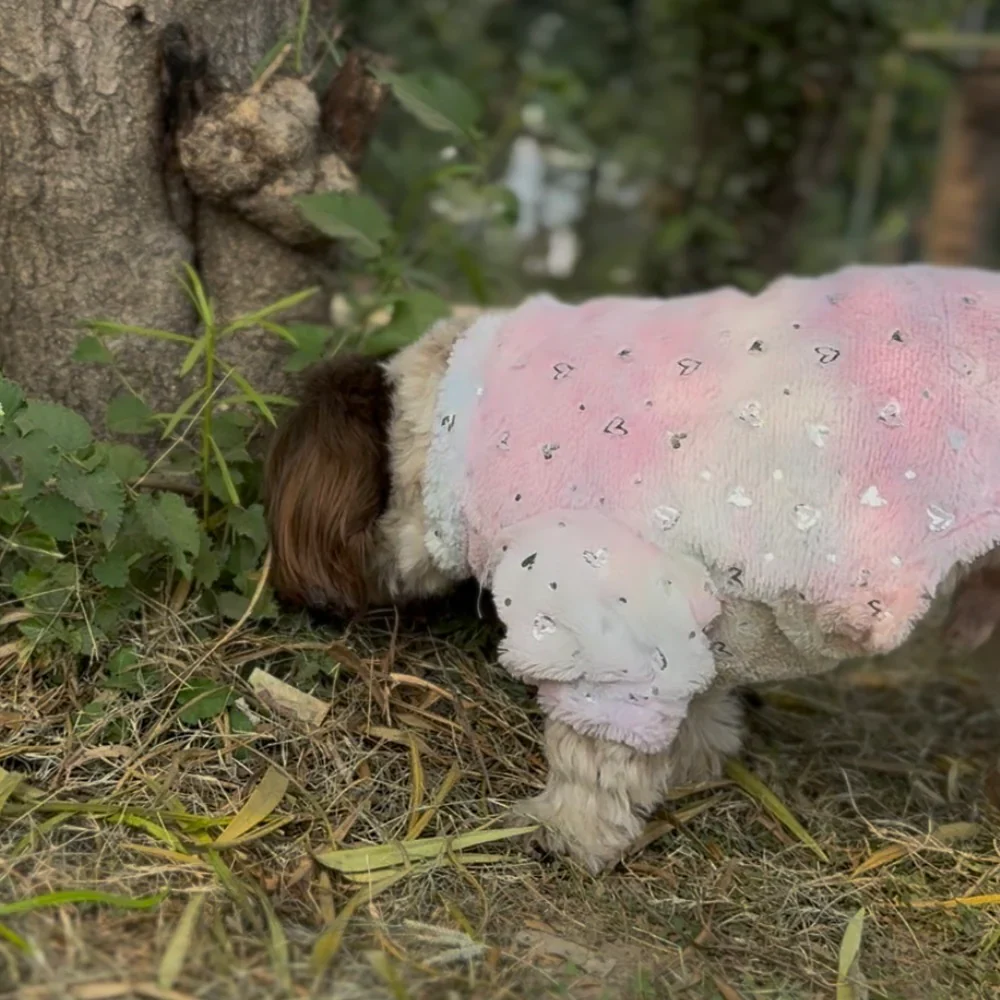 Pawgypets Fur Sweater for Dogs and Cats (Heart Pastel Rainbow) - Image 3