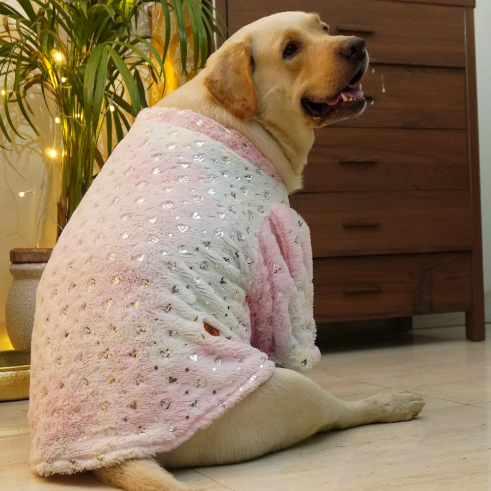 Pawgypets Fur Sweater for Dogs and Cats (Heart Pastel Rainbow) - Image 5