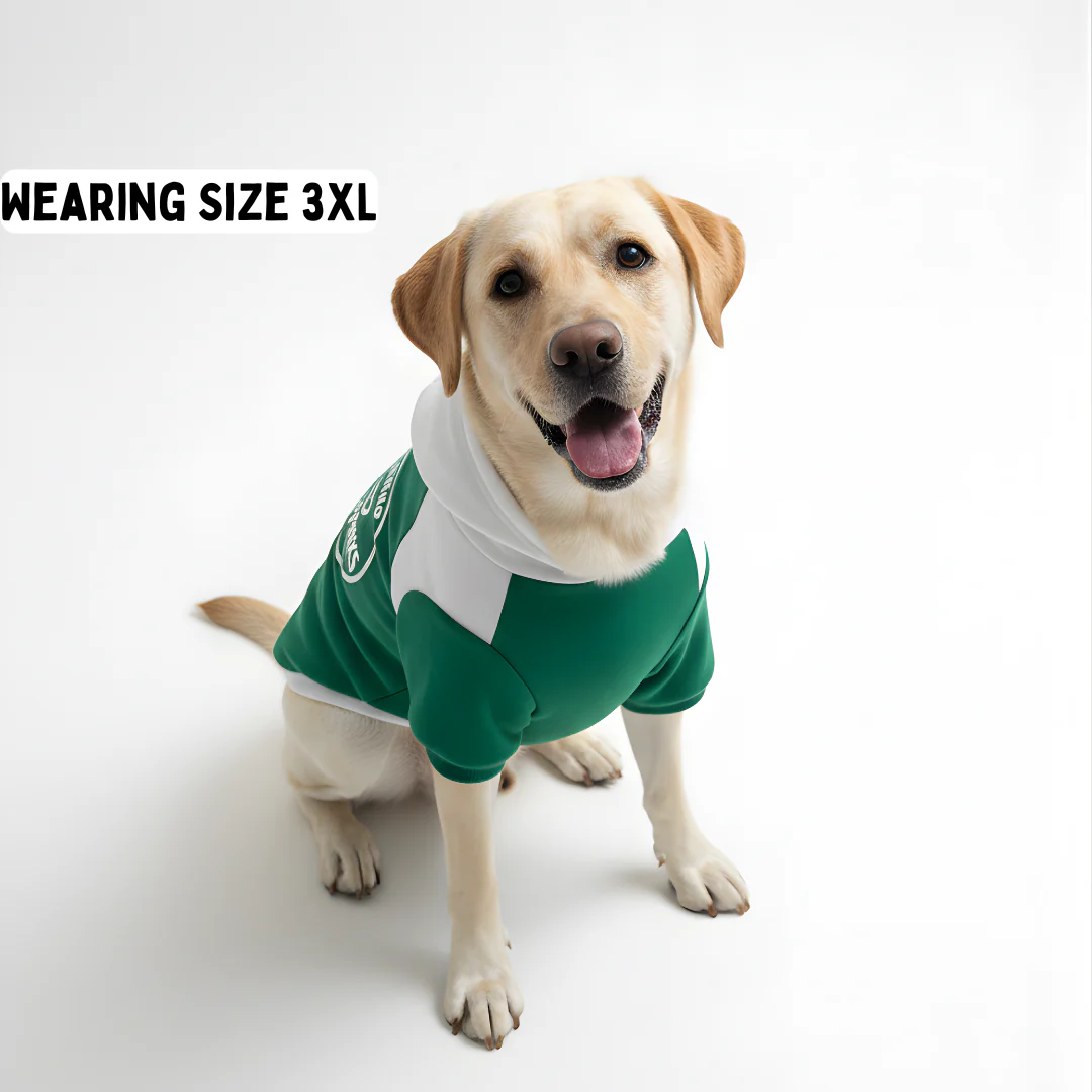 Pawgypets Furbarks Hoodie for Dogs (Green) - Image 4