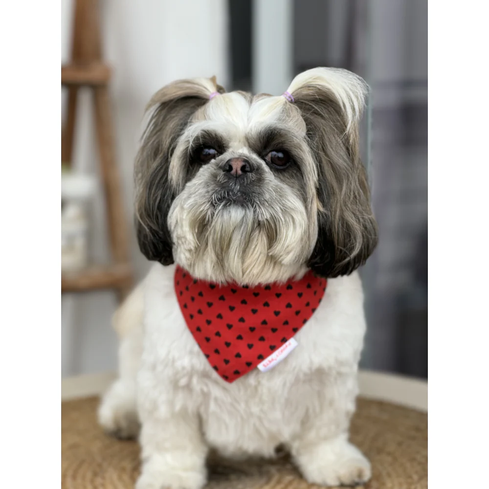 Pawgypets Heart Bandana for Dogs and Cats (Red) - Image 3