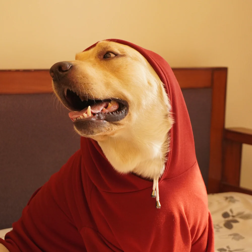 Pawgypets Heart Hoodie Sweatshirt for Dogs and Cats (Maroon) - Image 4
