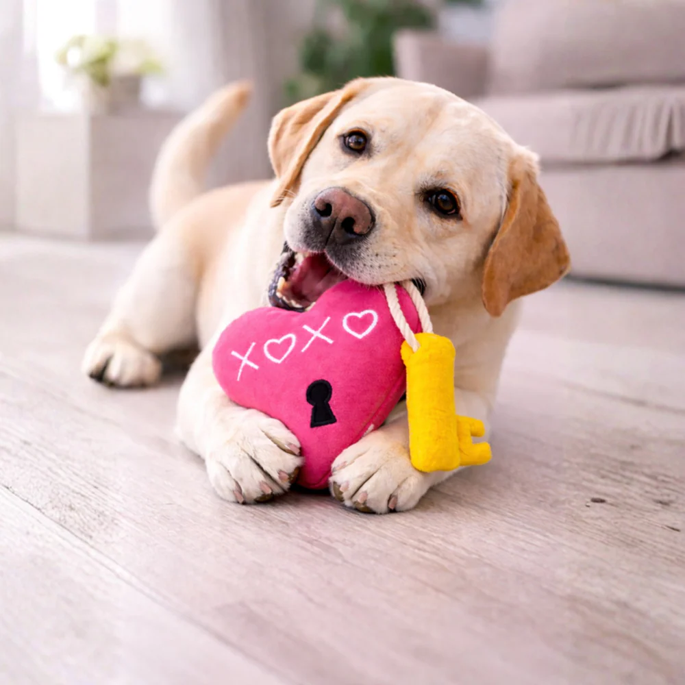 Pawgypets Heart Lock Key Plush with Rope Toy for Dogs (Hot Pink & Yellow) - Image 3