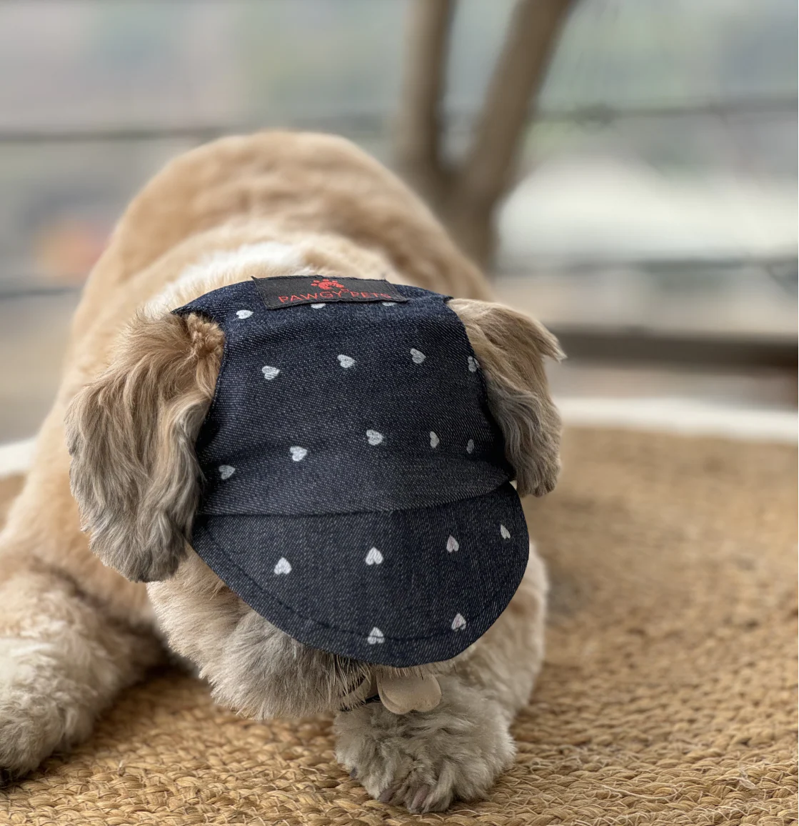 Pawgypets Hearty Cap for Dogs (Denim) - Image 4