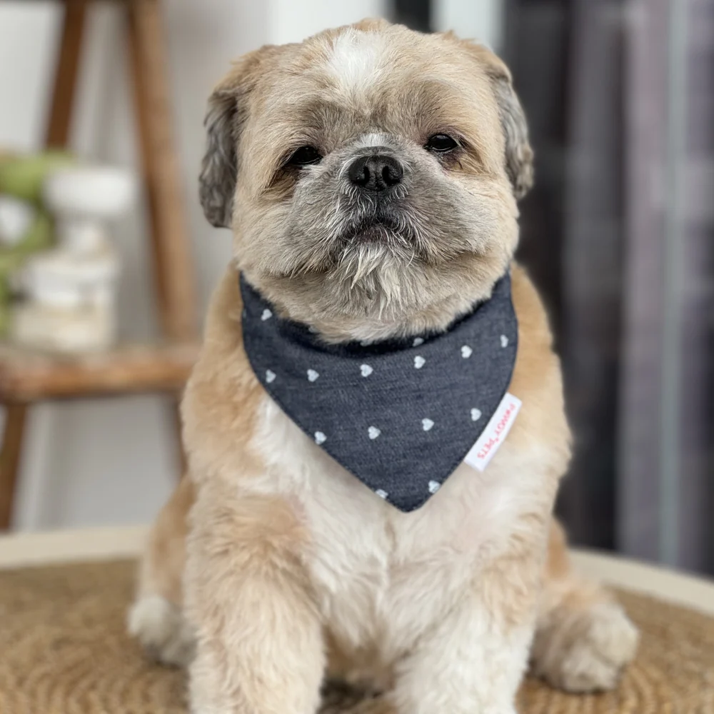 Pawgypets Hearty Denim Bandana for Dogs and Cats (Denim) - Image 2