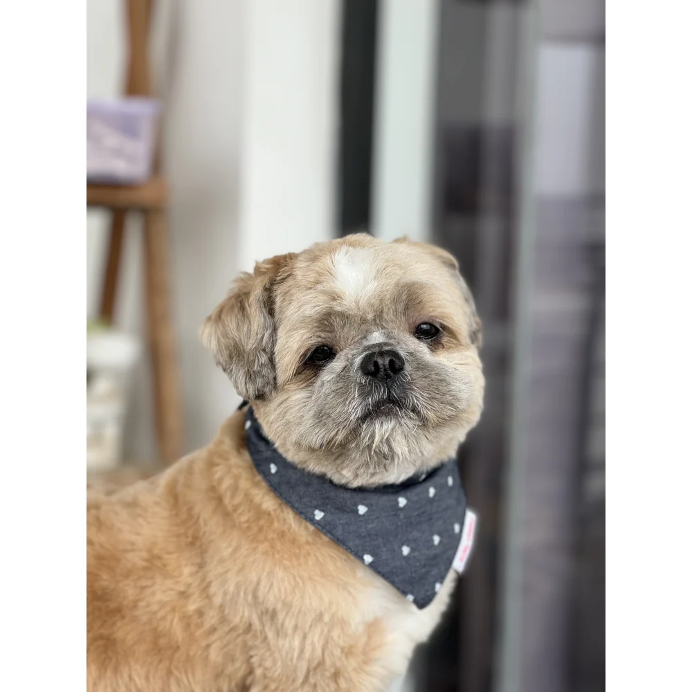 Pawgypets Hearty Denim Bandana for Dogs and Cats (Denim) - Image 3