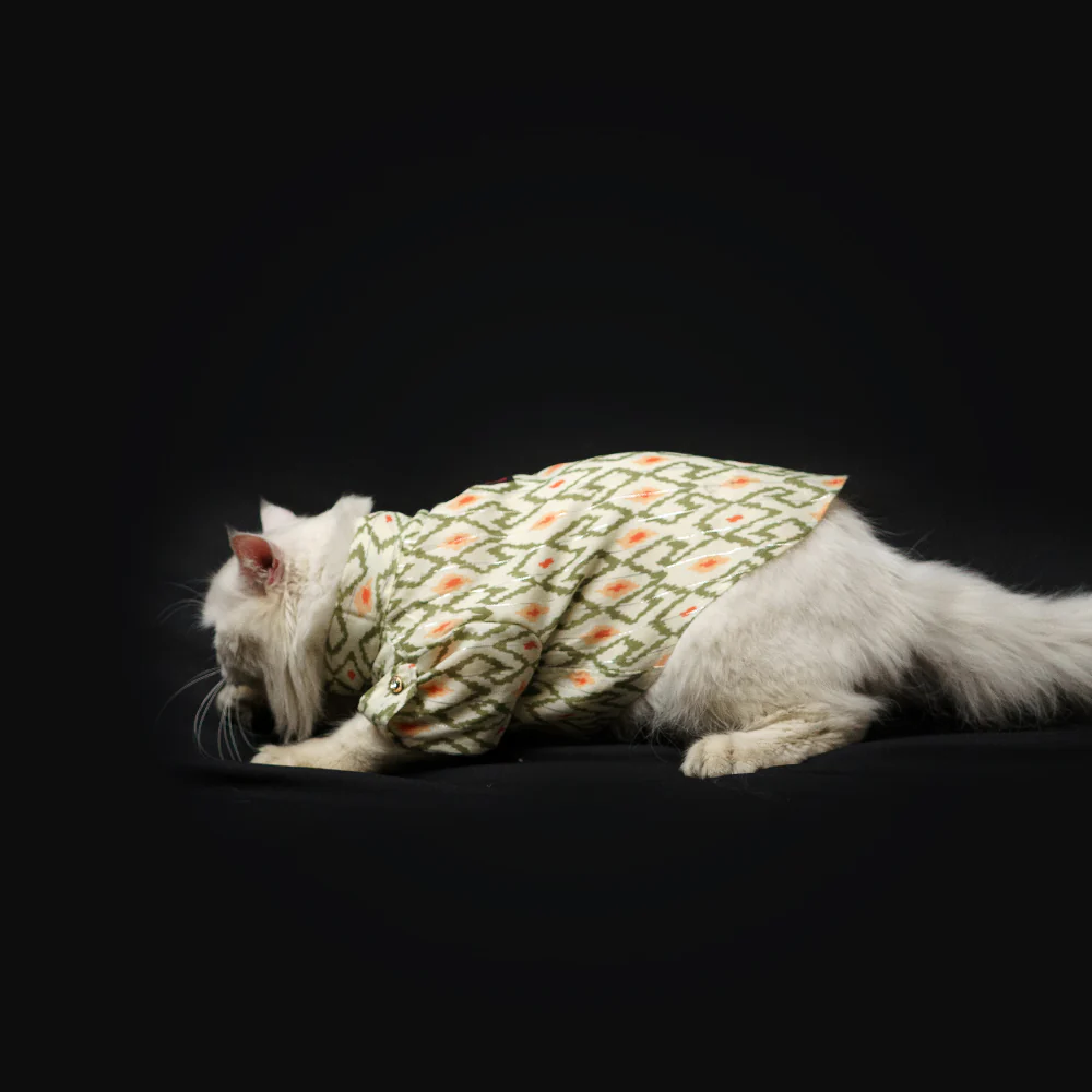 Pawgypets Heritage Kurta for Dogs and Cats (Off White/Orange) - Image 4