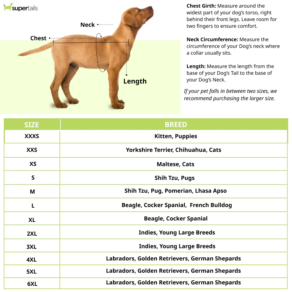 Pawgypets High Neck Cable Kint Sweater for Dogs and Cats (Red) - Image 4