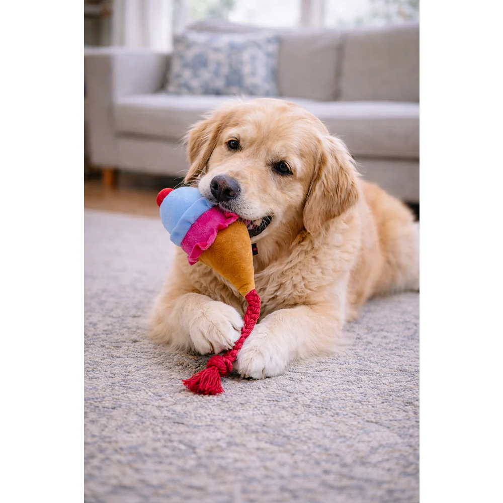 Pawgypets Ice Cream Plush with Rope Toy for Dogs - Image 2