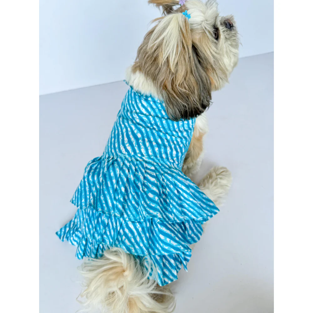 Pawgypets Lehriya Dress for Dogs and Cats (Blue) - Image 3